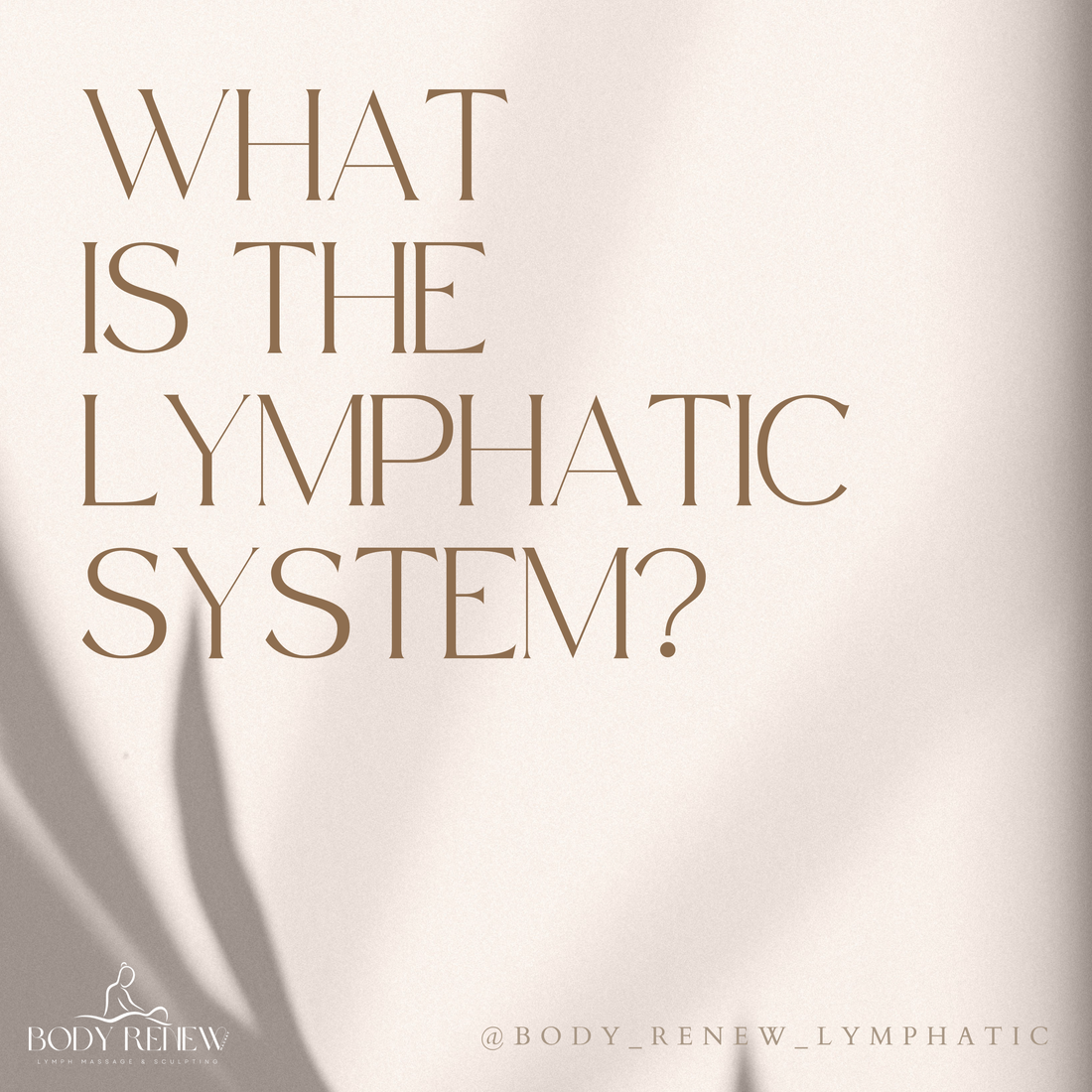 What is the Lymphatic System?