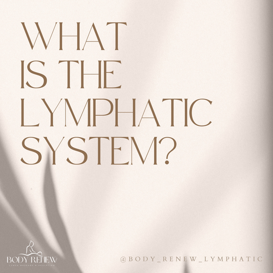What is the Lymphatic System?
